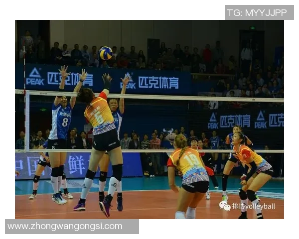 北京排球队在城市联赛中的状态分析与表现评估